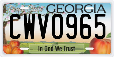 GA license plate CWV0965