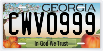 GA license plate CWV0999