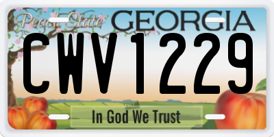 GA license plate CWV1229
