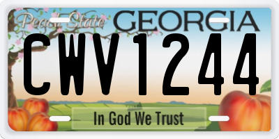 GA license plate CWV1244