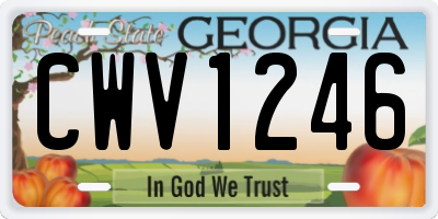 GA license plate CWV1246