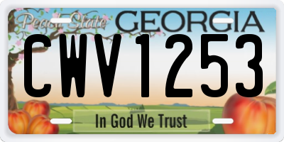 GA license plate CWV1253