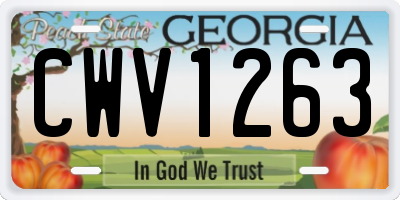 GA license plate CWV1263