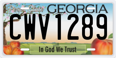 GA license plate CWV1289