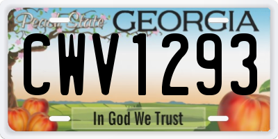 GA license plate CWV1293