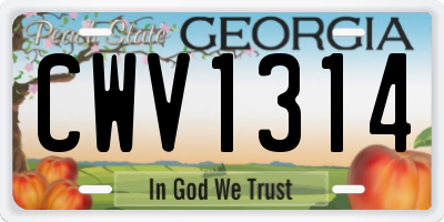 GA license plate CWV1314