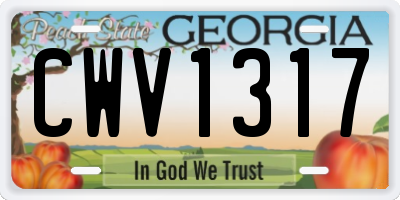 GA license plate CWV1317