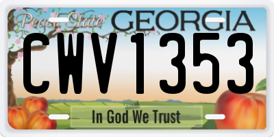 GA license plate CWV1353