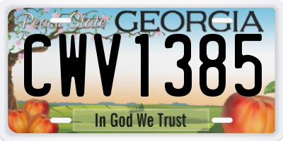GA license plate CWV1385