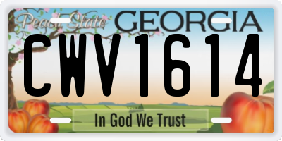GA license plate CWV1614