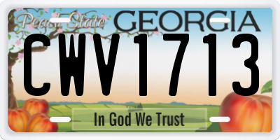 GA license plate CWV1713