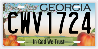 GA license plate CWV1724