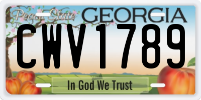 GA license plate CWV1789
