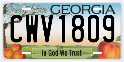GA license plate CWV1809