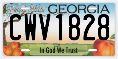 GA license plate CWV1828