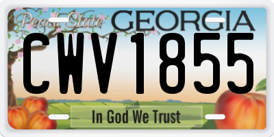 GA license plate CWV1855