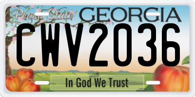 GA license plate CWV2036