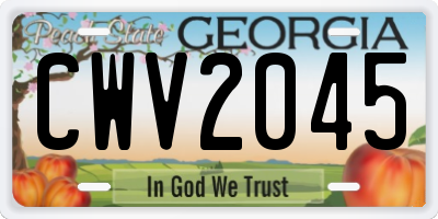 GA license plate CWV2045