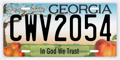 GA license plate CWV2054