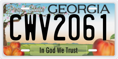 GA license plate CWV2061