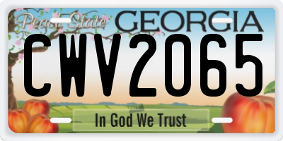 GA license plate CWV2065