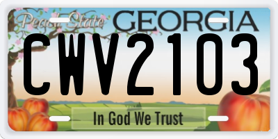 GA license plate CWV2103