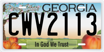 GA license plate CWV2113
