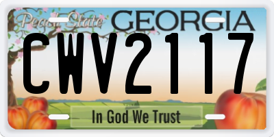 GA license plate CWV2117