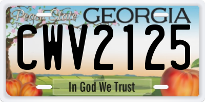 GA license plate CWV2125