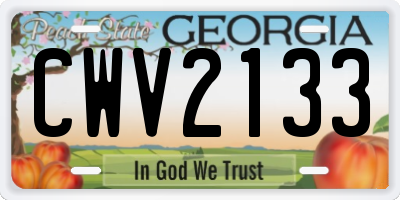 GA license plate CWV2133