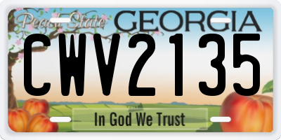 GA license plate CWV2135