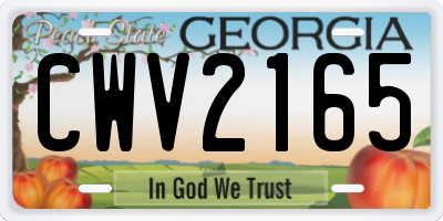 GA license plate CWV2165