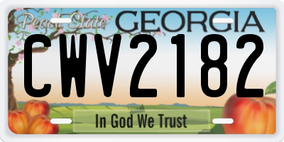 GA license plate CWV2182