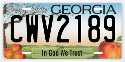 GA license plate CWV2189