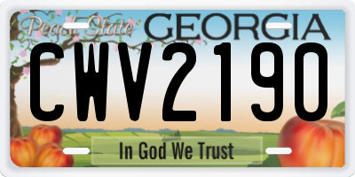 GA license plate CWV2190
