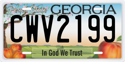 GA license plate CWV2199