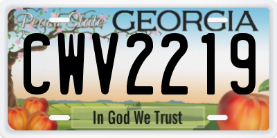 GA license plate CWV2219