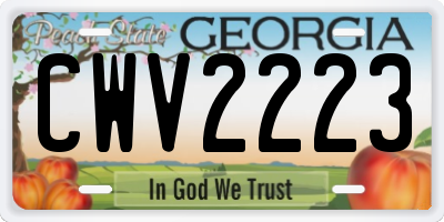 GA license plate CWV2223