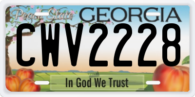 GA license plate CWV2228