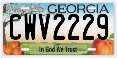 GA license plate CWV2229