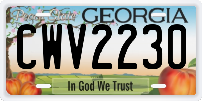 GA license plate CWV2230