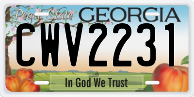 GA license plate CWV2231