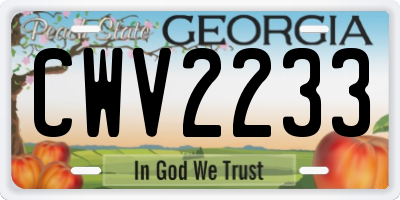 GA license plate CWV2233