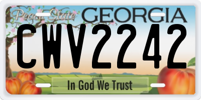 GA license plate CWV2242