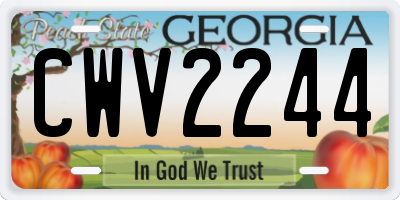 GA license plate CWV2244