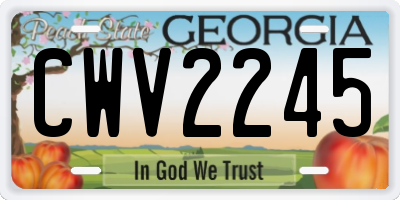 GA license plate CWV2245