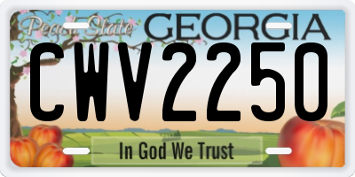 GA license plate CWV2250