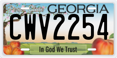 GA license plate CWV2254