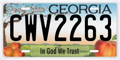 GA license plate CWV2263