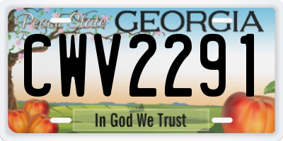 GA license plate CWV2291
